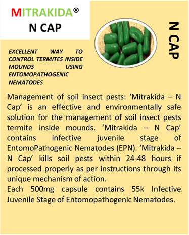 soil-termite-valvi-dimaka-infection-control-capsules1